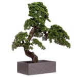 Bonsai Artificial 200cm