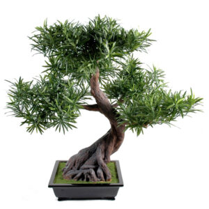 Bonsai Podocarpus artificial