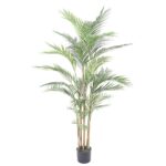 Palmeira Areca Plast