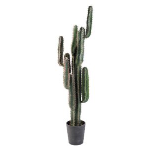 Cactus Finger